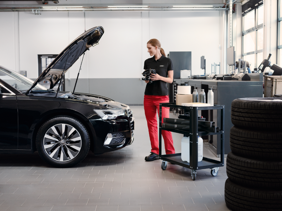 Audi Powertrain Care