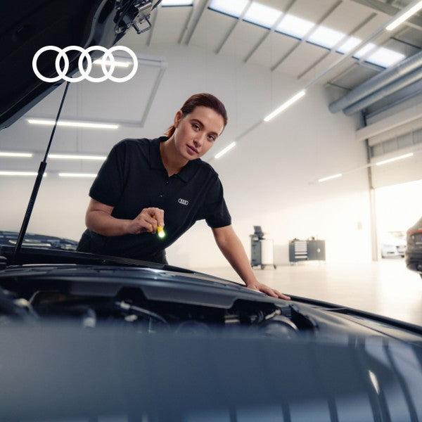 Service Package - Classic (Only for vehicles 7 years and older)