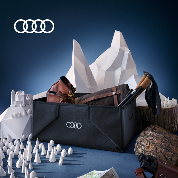 Audi Foldable Luggage Basket
