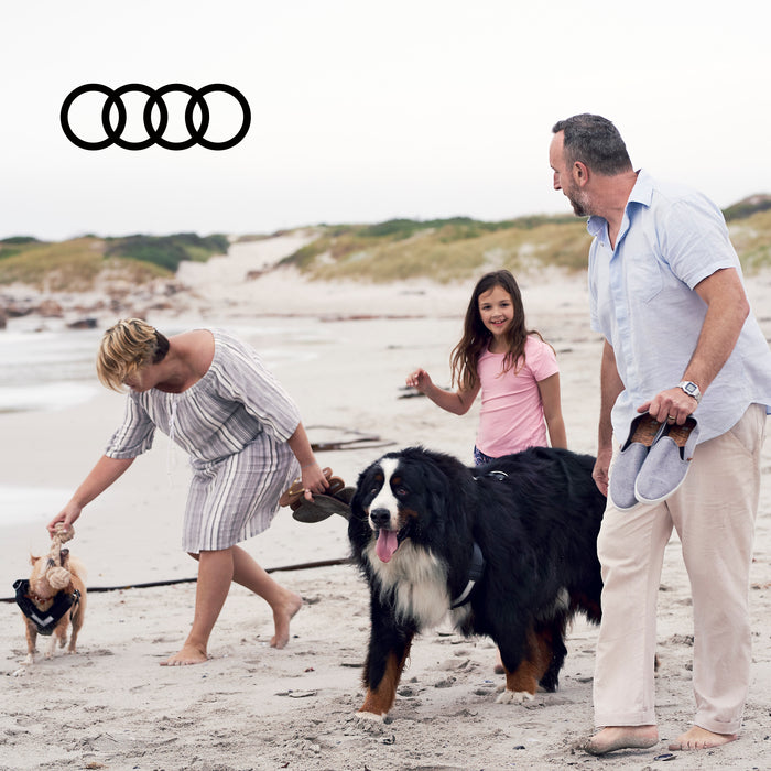 Audi Safety Harness for dogs