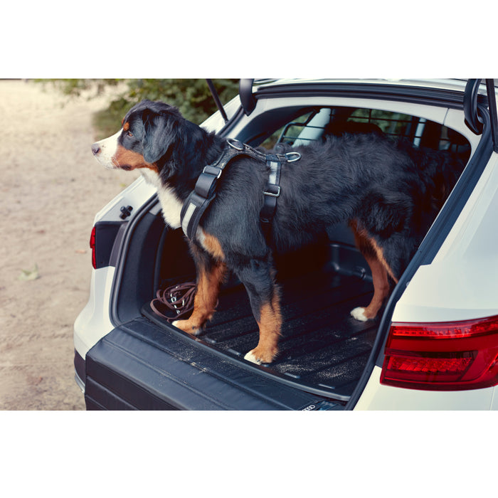 Audi Safety Harness for dogs