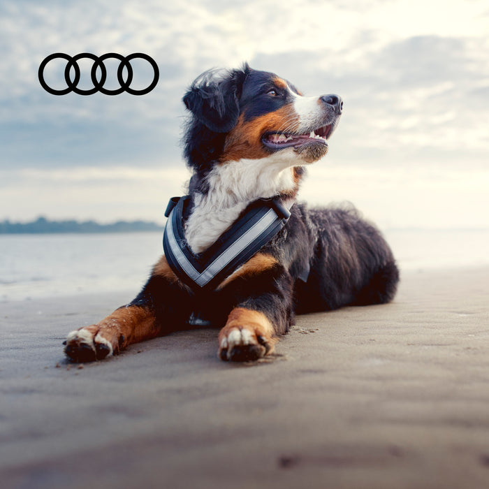 Audi Safety Harness for dogs