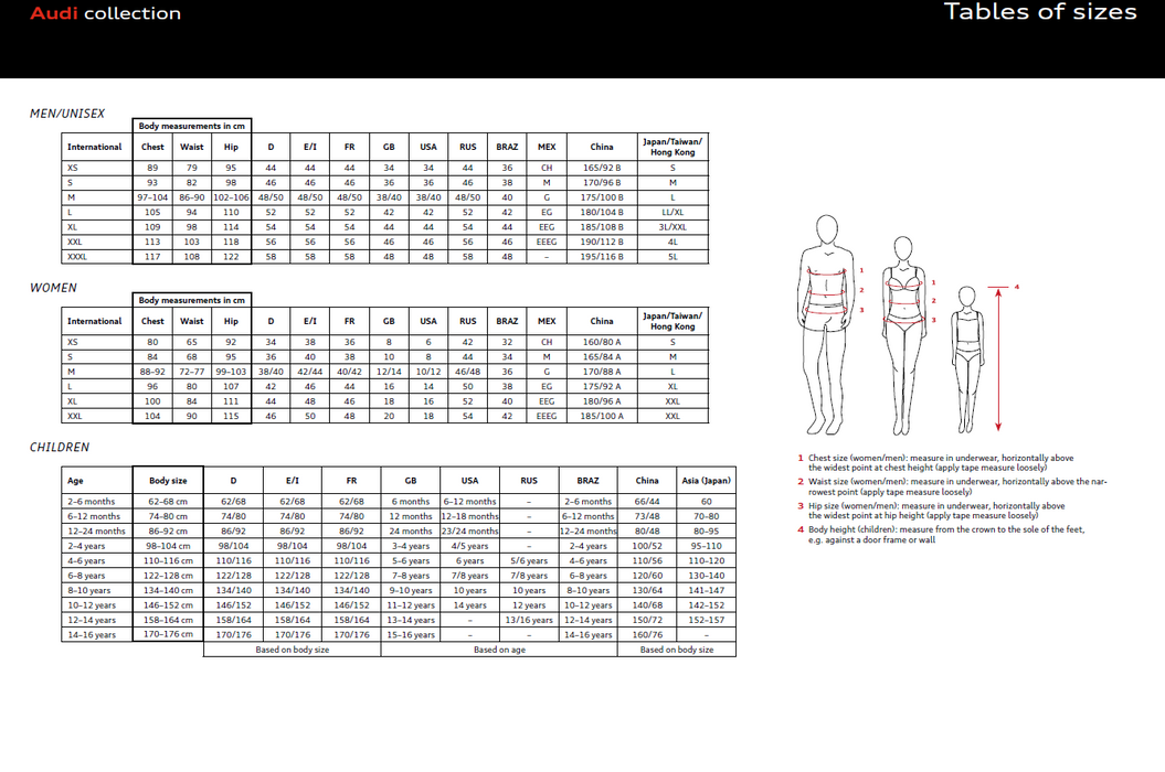 Audi Sport Mens Poloshirt